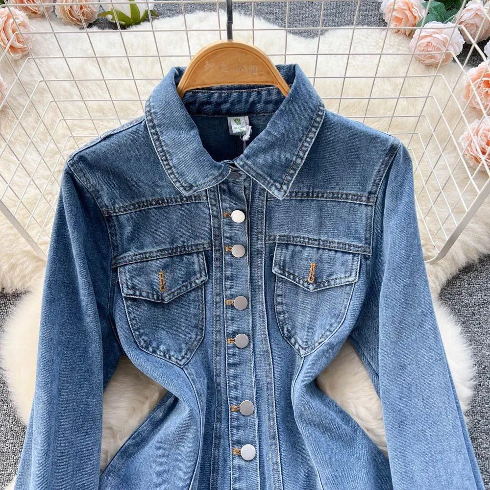 Saoirse Denim Dress