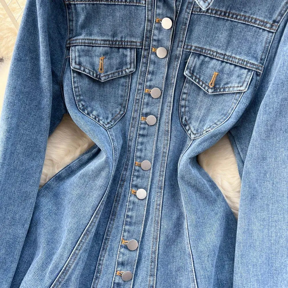 Saoirse Denim Dress